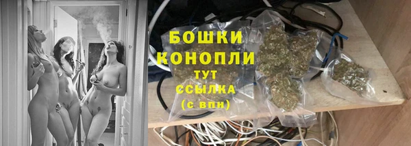 PSILOCYBIN Арсеньев