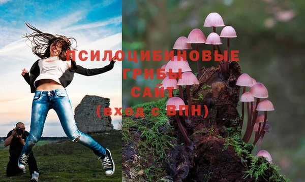 ALPHA PVP Армянск