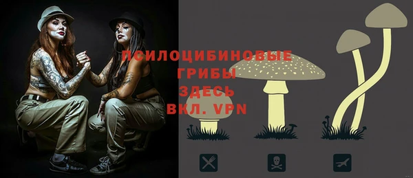 ALPHA PVP Армянск