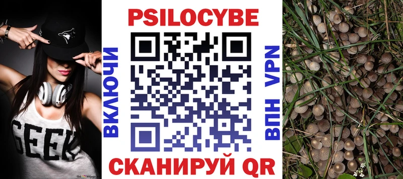 Псилоцибиновые грибы Psilocybine cubensis  Купить где  Гурьевск 